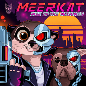 Strange Fiction by Meerkat