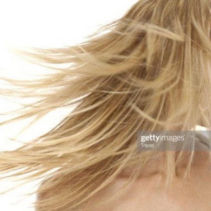 gavin — Mink 172 (2026)