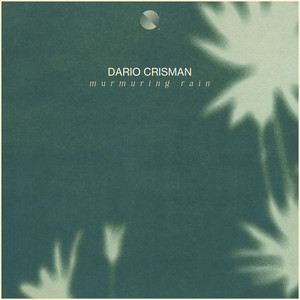 Murmuring Rain by Dario Crisman