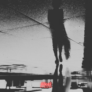 I Suppose by Akai Project