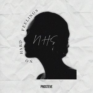 N.H.F (No Hard Feelings) by PNDSteve