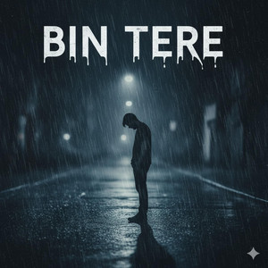 Bin Tere
