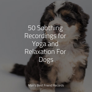 50 Soothing Recordings for Yoga and Relaxation For Dogs album