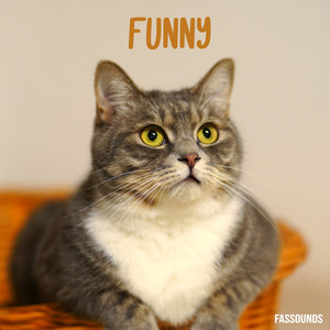 Fassounds - Funny