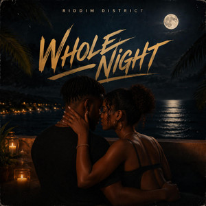 Whole Night by Riddim District