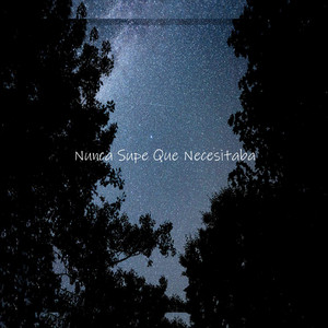 Nunca Supe Que Necesitaba by Abesthmusicc