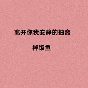 拌饭鱼 - 离开你我安静的抽离