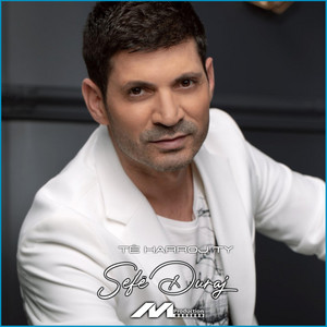 Sefë Duraj - Të harroj ty