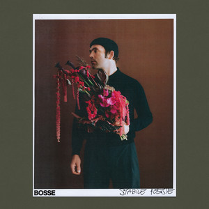 Stabile Poesie — cover art by Bosse