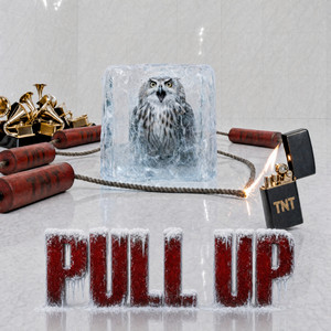 PULL UP by Loza Alexander