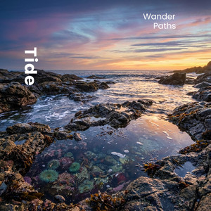Tide by Wander Paths