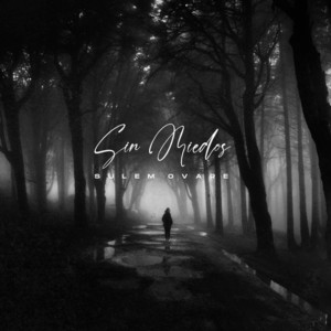 Sin Miedos by Sulem Ovare