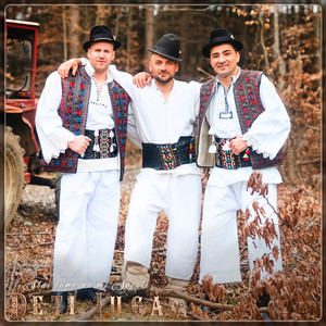 Deti Iuga - Stai Lume Nu’mi Socoti