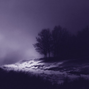 purple storm by sshofxygo
