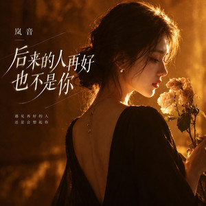 后来的人再好也不是你 by 岚音