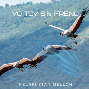 YO TOY SIN FRENO by palafustan mellon