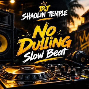 NO DULLING SLOW BEAT by Dj Shaolin Temple