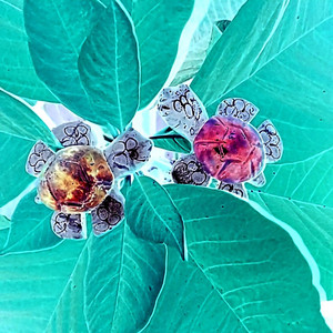 Hydroponics cover