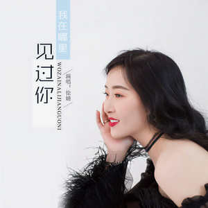 徐婧 - 我在哪里见过你
