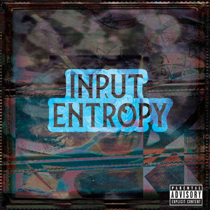 Input Entropy cover