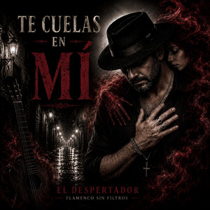 TE CUELAS EN MÍ (Flamenco Bachata) by Flamenco sin filtros