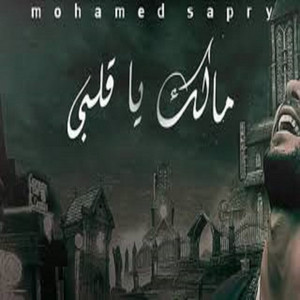 Mohamed Sabry - Malk Ya Alby