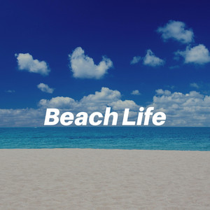Beach Life album