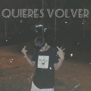 Quieres volver by Viey