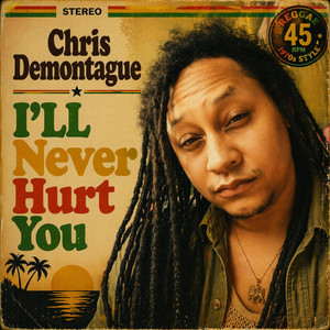 I'll Never Hurt You by Chris Demontague