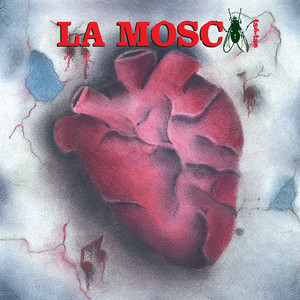 Corazones Antarticos album