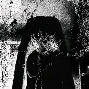 chikofani - 000ambient