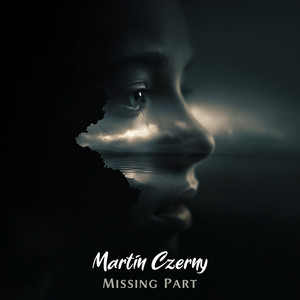 Missing Part by Martin Czerny