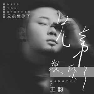 兄弟想你了 - DJ沈念版 by 王韵