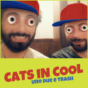 Cats in Cool - Rocco