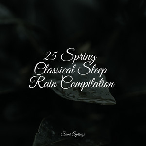 25 Spring Classical Sleep Rain Compilation album