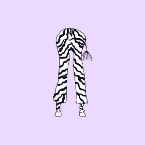 Обкладинка: Zebra Leggings