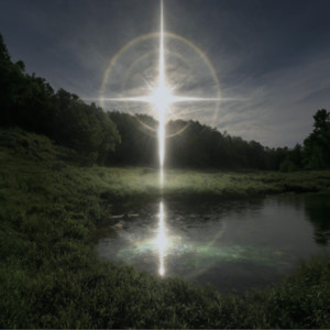 solar garden by Soft Void