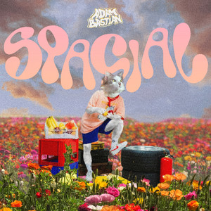 Spasial