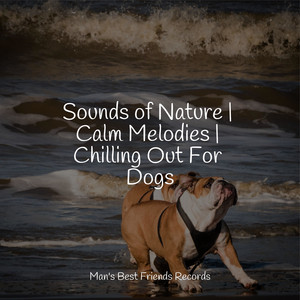 Sounds of Nature | Calm Melodies | Chilling Out For Dogs album