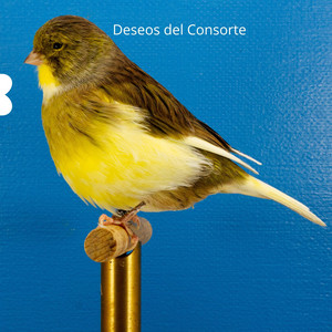 Deseos del Consorte by Th3 Five 3