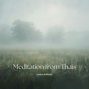 Meditation (From 