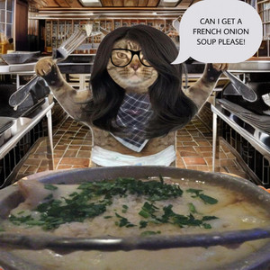 wikihowtodj - French Onion Shuffle