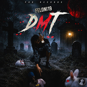 Dmt by Feloni19