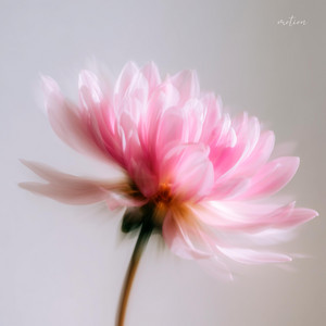 motion by Avery Foster