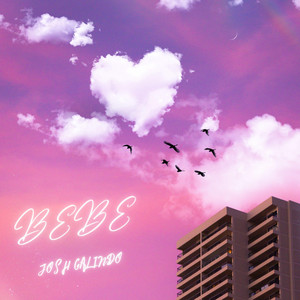 Josh Galindo - BEBE