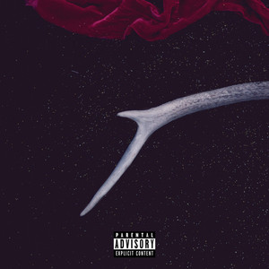 Budget by Lvcci