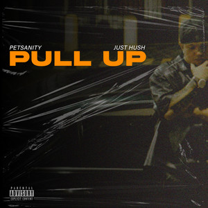 Pull Up - Official Audio by Petsanity, Just Hush