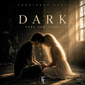 Dark Feel the Light by Forbidden Echo
