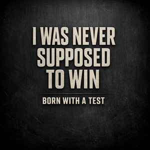 I Was Never Supposed To Win by Dust & Harmony