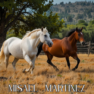 Como No Voy Quererte by Misael Martinez